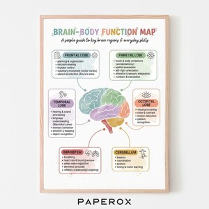 Puede incluir: Un póster educativo enmarcado titulado "Brain-Body Function Map" con un marco de madera clara. El póster presenta una ilustración colorida del cerebro, con secciones y funciones etiquetadas. El texto incluye "Lóbulo frontal", "Lóbulo parietal" y "Lóbulo temporal".