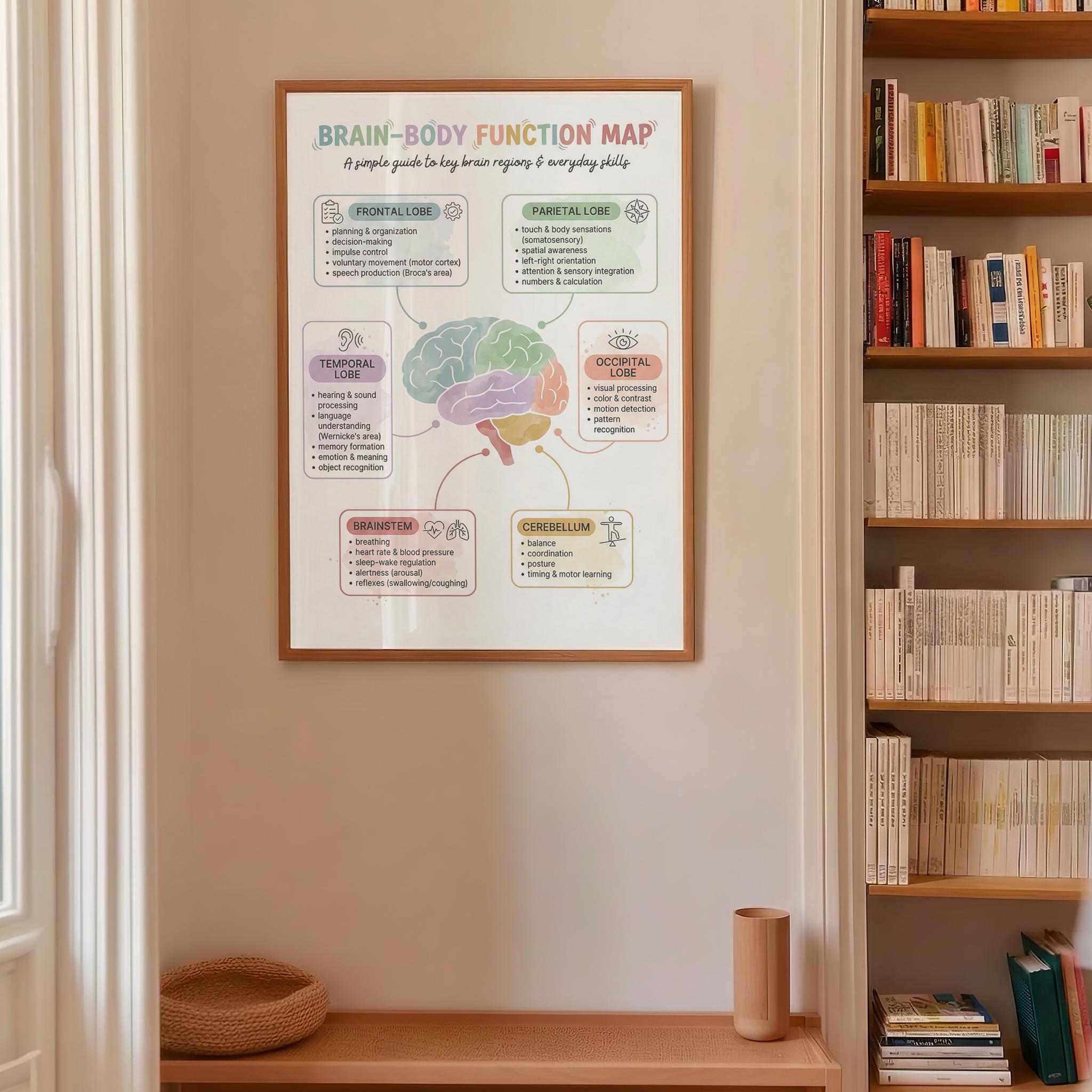 Mind-body Brain Map Poster, Brain Anatomy Print, Neuroscience Wall Art ...
