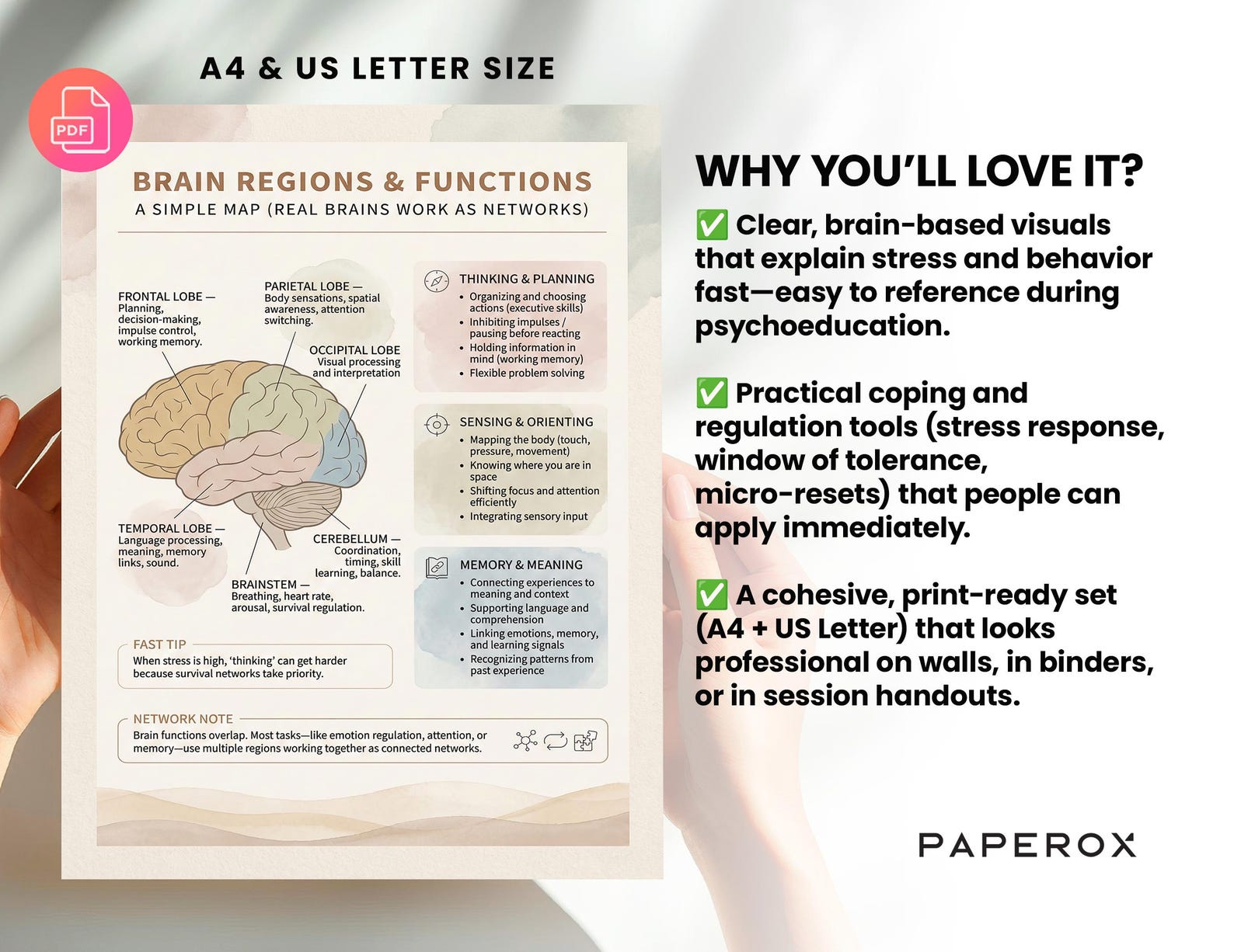 Understanding the Brain: Stress Management Resource Bundle & Coping ...