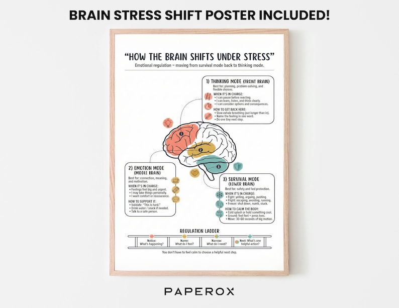 20 Brain Regions Info Sheets - Brain Areas & Functions Quick Reference ...