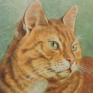 Set di 4 cartoline d'epoca gatti – inutilizzate – anni '60