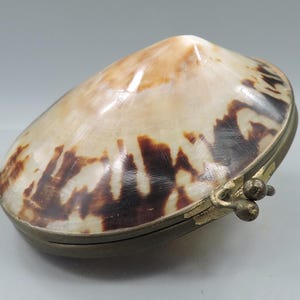 May include: An oval seashell box with a brass frame and clasp. The shell is cream and brown. The box is a decorative item. The brass frame has a hinged closure. A natural and unique decorative item.