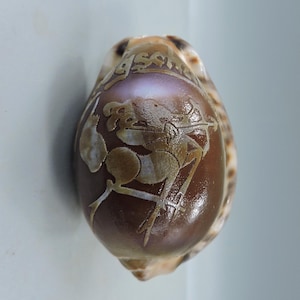 Könnte beinhalten: Eine braune und beige Muschelschale mit einem geätzten Design. Das Design zeigt ein stilisiertes Bild einer Person mit Pfeil und Bogen sowie andere Formen. Die Schale hat eine glatte, polierte Oberfläche.