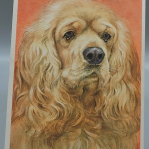 Lot de 5 cartes postales vintage chiens – non utilisées – années 1960