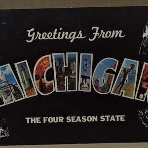 Lot de 2 vieilles cartes postales vintage du Michigan - d'occasion