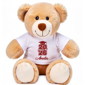 Personalized Graduation Teddy Bear Class of 2026 - Custom Name Stuffed Animal