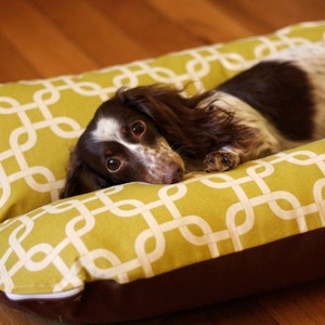 Modern Green Squares, Bunbed, Dachshund Dog Bed, Small Dogs, Modern Mid Century Decor, Hot Dog Bed, Dachshund Bed, Dog Burrow Bed