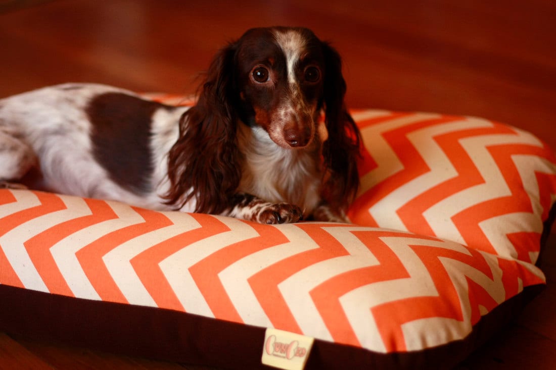 Hot Dog Bun Bed For Dachshunds stickhealthcare.co.uk