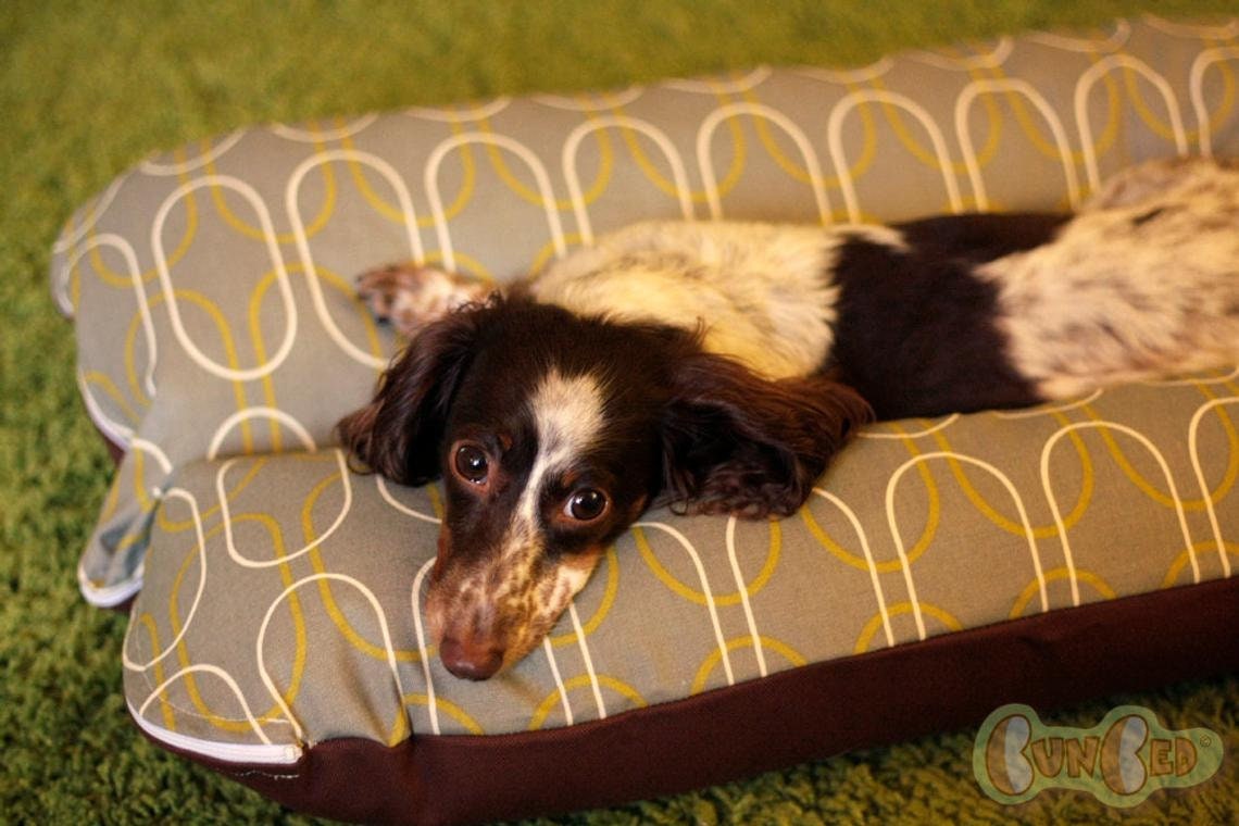 Bunbed Dachshund Dog Bed Small Dog Bed GRAY MOD SHAPES Etsy