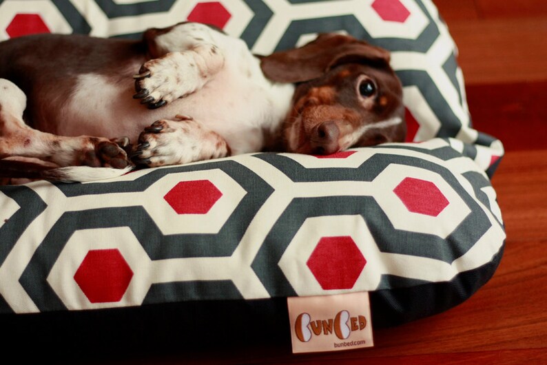 Bunbed Dachshund Dog Bed Burrow Bed Mid Century Modern Mod Etsy