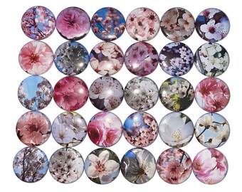 Cherry Blossom Magnet, 1", 1.25", 1.5", Button Magnet, Cherry Blossom Decor, Cherry Blossom Theme, Cherry Blossom, Pink Flower, Tree, PF013