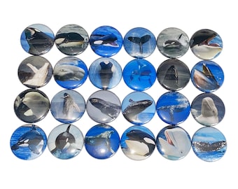 Whale Magnet, 1", 1.25", 1.5", 2.25", Button Magnet, Whale, Whale Theme, Whale Decor, Whale Party Favor, Whale Birthday, Whale Button, AQ007