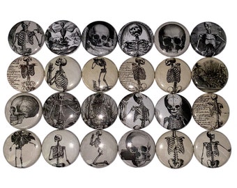 Skeleton Magnet, 1", 1.25", 1.5", 2.25", Button Magnet, Anatomy Magnet, Creepy Magnet, Scary Magnet, Morbid Magnet, Halloween Magnet, D005