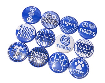 School Colors & Mascots