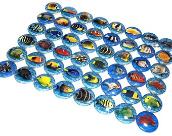 Fish Magnet, Tropical, 1", 1.25", 1.5", 2.25", Button Magnet, Tropical Fish, Tropical Theme, Tropical Decor, Salt Water Fish, Fish, AQ002