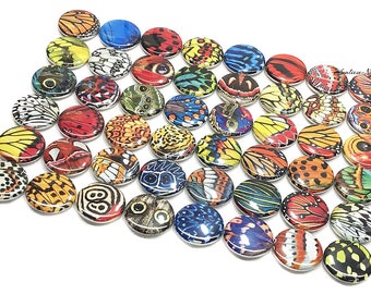 Butterfly Magnet, 1", 1.25", 1.5", 2.25", Button Magnet, Butterfly Wing, Butterfly Decor, Butterfly Theme, Butterfly, Butterfly Decor, B012