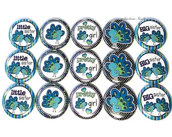 Peacock Magnet, 1", 1.25", 1.5", 2.25", Button Magnet, Little Sister, Big Sister, Peacock, Peacock Theme, Birthday, Gift, Party Favor, BR012