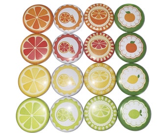 Citrus Magnet, 1", 1.25", 1.5", 2.25", Button Magnet, Orange Magnet, Grapefruit Magnet, Lime Magnet, Lemon Magnet, Fruit Theme, FD055