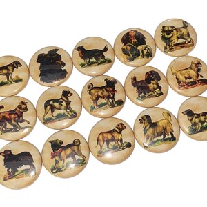 May include: A set of 14 round, cream-colored buttons with vintage illustrations of dogs. Each button features a different breed of dog, including a pug, a bloodhound, a terrier, and a spaniel.
