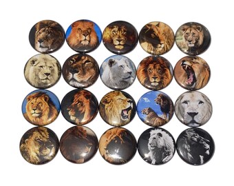 Lion Magnet, 1", 1.25", 1.5", 2.25", Button Magnet, Lions, Lion Theme, Lion Decor, Party Favor, Gift, Lion Birthday, Locker Magnet, A008