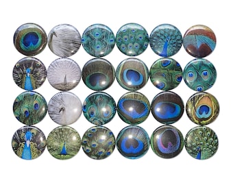 Peacock Magnet, 1", 1.25", Button Magnet, Peacock Decor, Peahen, Peacock Theme, Party Favor, Birthday, Locker Magnet, White Peacock, BR009