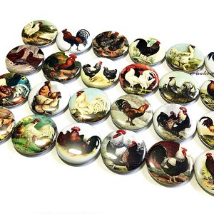 Chicken Magnet, 1&quot;, 1.25&quot;, 1.5&quot;, 2.25&quot;, Button Magnet, Chicken Decor, Chicken Theme, Rooster, Rooster Magnet, Fowl, Poultry Magnet, BR007