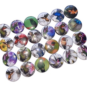 Hummingbird, 1&quot;, 1.25&quot;, 1.5&quot;, 2.25&quot;, Button, Hummer, Hummingbird Theme, Bird, Party Favor, Birthday, Gift, Flatback, Pinback, Pin, BR003