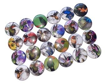 Hummingbird, 1", 1.25", 1.5", 2.25", Button, Hummer, Hummingbird Theme, Bird, Party Favor, Birthday, Gift, Flatback, Pinback, Pin, BR003