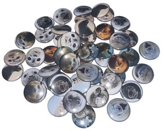 Seals, 1", 1.25", 1.5", 2.25", Button, Seal Theme, Seal Decor, Seal Birthday, Sea Life, Marine Mammal, Ocean, Flatback, Pinback, Pin, AQ004
