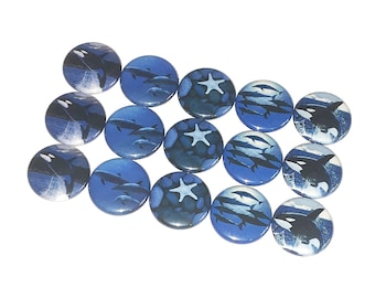 Killer Whale, Dolphin, 1", 1.25", Button, Sea Life, Whale, Starfish, Flatback, Pinback, Pin, Badge, Blue, Water, Ocean, Party Favor, AQ003