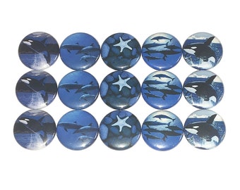 Killer Whale Magnet, Dolphin Magnet, 1", 1.25", Button Magnet, Sea Life, Ocean, Starfish, Killer Whale, Dolphin, Party Favor, Gift, AQ003