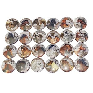 Horse Magnet, 1&quot;, 1.25&quot;, 1.5&quot;, 2.25&quot;, Button Magnet, Western Magnet, Horses, Horse Decor, Horse Gift, Horse Theme, Horse Party Favor, HR006