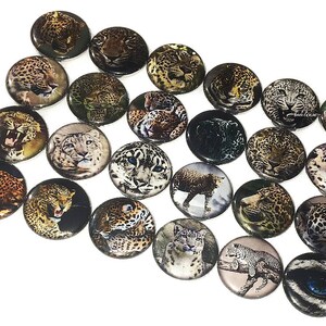 May include: A collection of 20 round, colorful, printed glass cabochons featuring various images of leopards, cheetahs, and snow leopards. The cabochons are approximately 1 inch in diameter.
