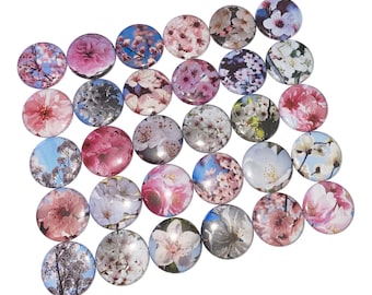 Cherry Blossoms, 1", 1.25", 1.5", Button, Cherry Blossom Decor, Cherry Blossom Theme, Pink Flower, Party Favor, Flatback, Pinback, PF013