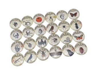 Apothecary, 1", 1.25", 1.5", 2.25", Button, Apothecary Theme, Party Favor, Halloween, Apothecary Flatback, Apothecary Pinback, D022