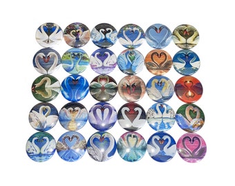 Swans Magnet, 1", 1.25", 1.5", 2.25", Button Magnet, Swans Theme, Swans Decor, Swans Party Favor, Swan Gift, Swan Party Favor, Swans, A037