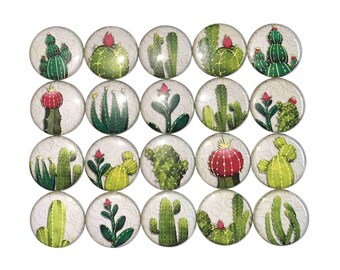 Cactus Magnet, 1", 1.25", 1.5", 2.25", Button Magnet, Cactus, Cactus Theme, Cactus Decor, Party Favor, Gift, Plant, Flower, Desert, PF002