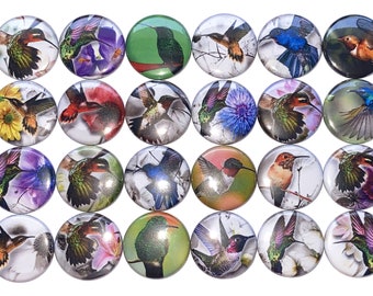 Hummingbird Magnet, 1", 1.25", 1.5", 2.25", Button Magnet, Hummers, Hummingbird, Bird Button, Hummingbird Party Favors, Spring, Bird, BR003