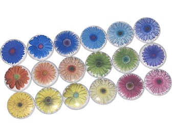 Daisy, Gerbera Daisies, 1", 1.25", 1.5", Button, Flower, Daisy Decor, Daisy Theme, Party Favor, Flower Theme, Flatback, Pinback, Pin, PF004