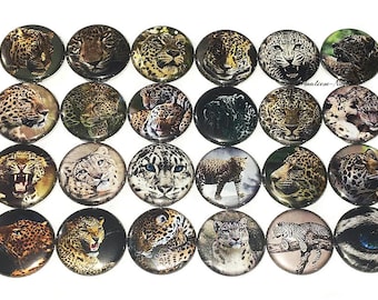 Leopard Magnet, 1", 1.25", 1.5", 2.25", Button Magnet, Leopard, Leopard Theme, Leopard Decor, Big Cat, Cat Magnet, Cat Rescue, A006