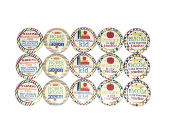 Homeschool Magnet, 1", 1.25", 1.5", 2.25", Button Magnet, Homeschool Decor, Homeschool Theme, Homeschool, School, Homeschool Gift, SC004