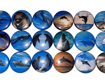 Dolphin Magnet, 1", 1.25", 1.5", 2.25", Button Magnet, Dolphin, Dolphin Theme, Dolphin Decor, Dolphin Party Favor, Dolphin Gift, AQ006