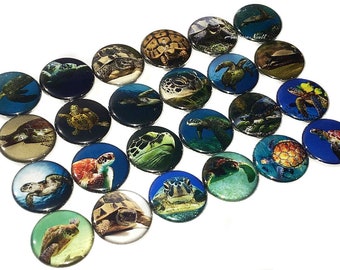 Turtles, 1", 1.25", 1.5", 2.25", Button, Water Turtle, Sea Turtle, Marine Turtle, Reptile, Tortoise, Land Turtle, Flatback, Pinback, AQ005