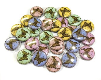 Butterfly, 1", 1.25", Button, Butterflies, Pink Butterfly, Yellow Butterfly, Blue Butterfly, Green Butterfly, Flatback, Pinback, B013