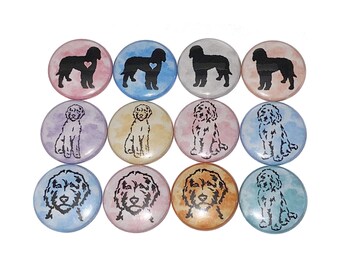 Dog Magnet, Golden Doodle, 1", 1.25", 1.5", 2.25", Button Magnet, Dog, Puppy, Party Favor, Dog Theme, Dog Decor, Dog Button, Gifts, DG009