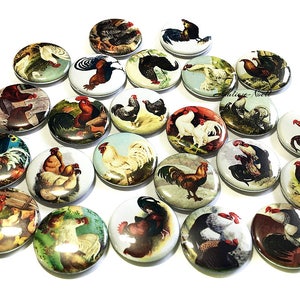 Chickens, 1&quot;, 1.25&quot;, 1.5&quot;, 2.25&quot;, Button, Chicken Button, Chicken Decor, Chicken Theme, Rooster, Party Favor, Fowl, Flatback, Pinback, BR007