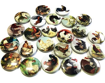 Chickens, 1", 1.25", 1.5", 2.25", Button, Chicken Button, Chicken Decor, Chicken Theme, Rooster, Party Favor, Fowl, Flatback, Pinback, BR007