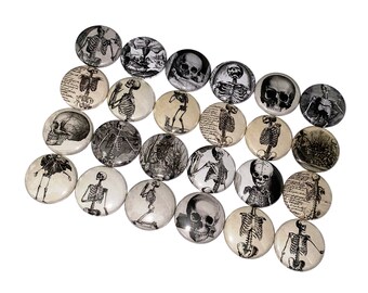 Skeletons, 1", 1.25", 1.5", 2.25", Button, Anatomy, Bones, Halloween Party Favor, Morbid Gift, Skull, Skeleton Flatback, Bone Flatback, D005