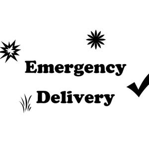 May include: Black and white graphic with the words "Emergency Delivery". The text is accompanied by stylized starbursts, a checkmark, and grass-like elements, all against a white background.