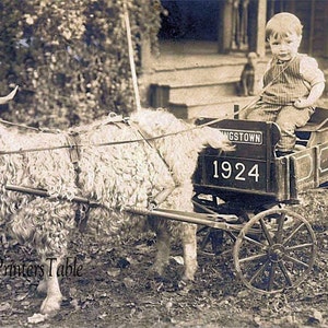 Boy with goat cart*What a guy*Assorted sizes*Vtg. style print  on our finest photo  acid free heavy weight  bright white paper